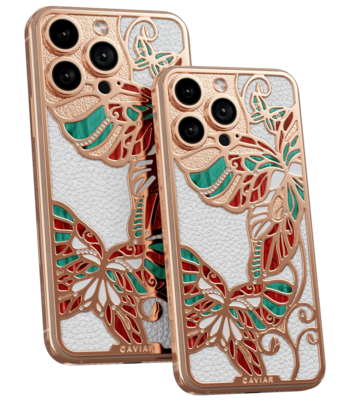 Кастом iPhone 17/18 Pro/Pro Max Дыхание Весны