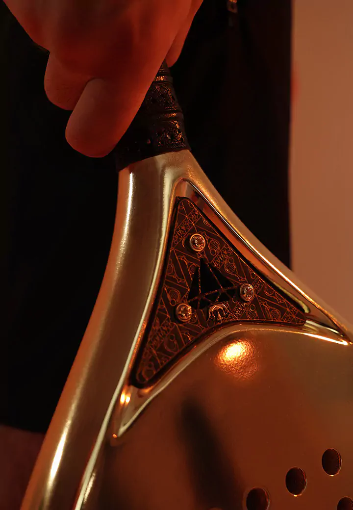 Вставка с логотипом Altair