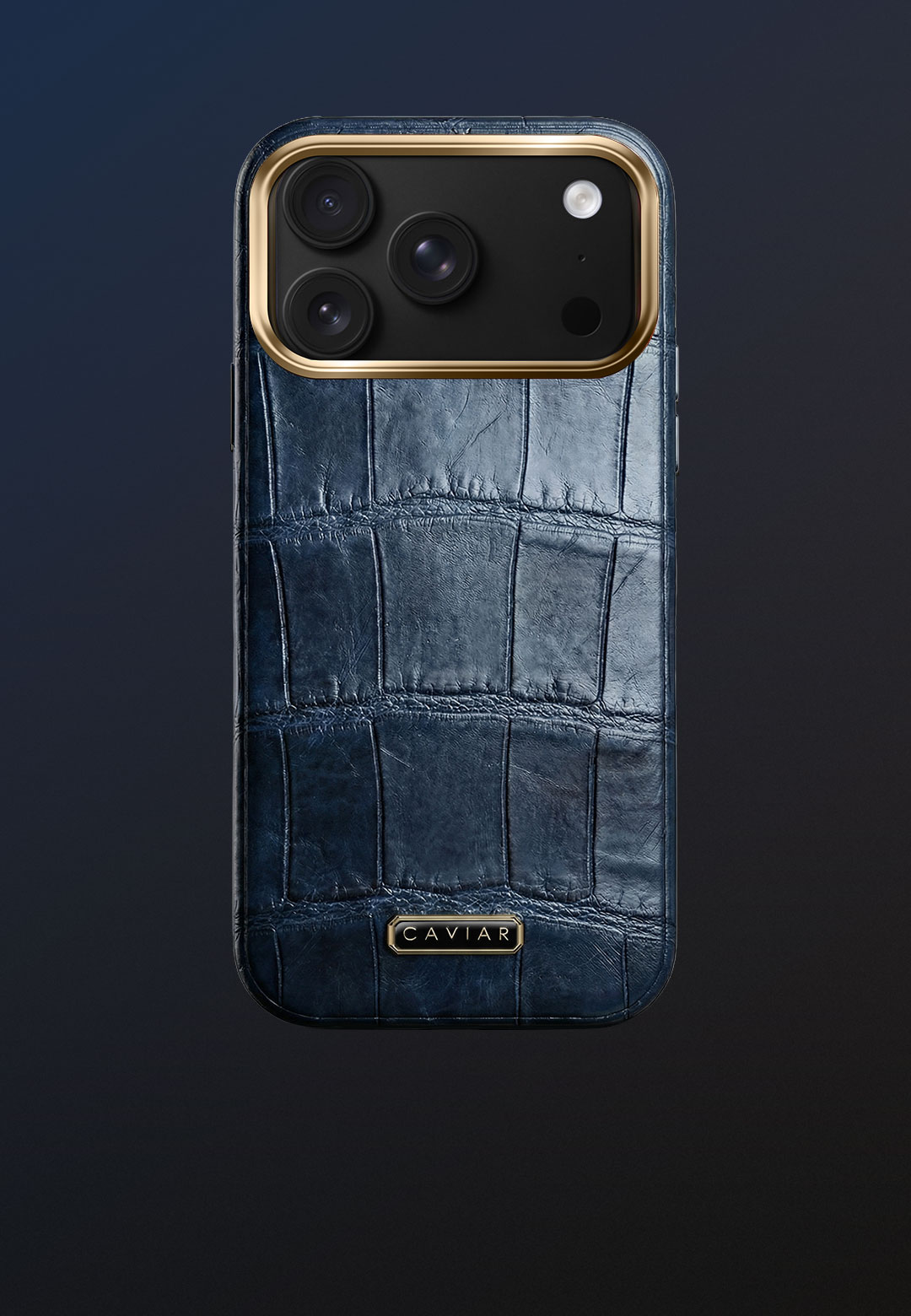 Чехол с черным корпусом Версаль