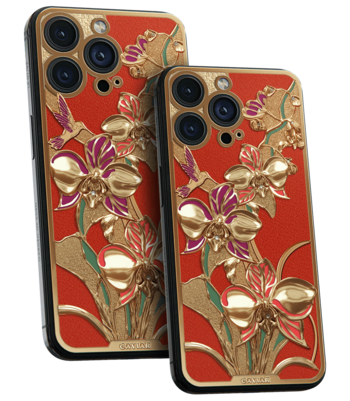 Кастом iPhone 17/18 Pro/Pro Max Колибри и Орхидея