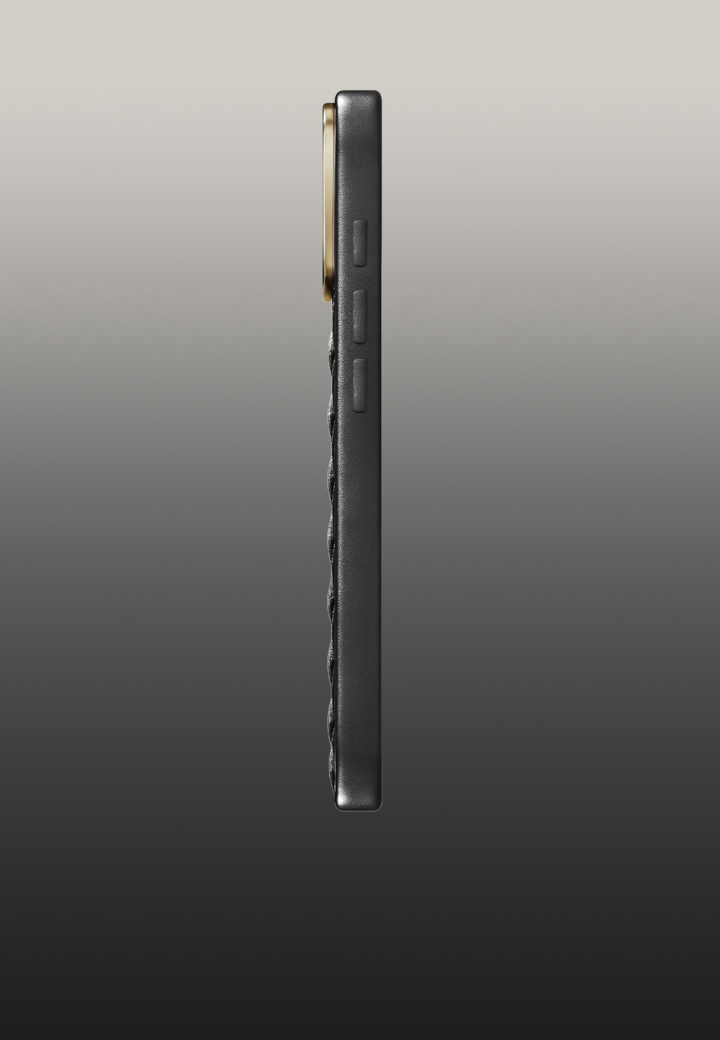 Вид сбоку Monaco