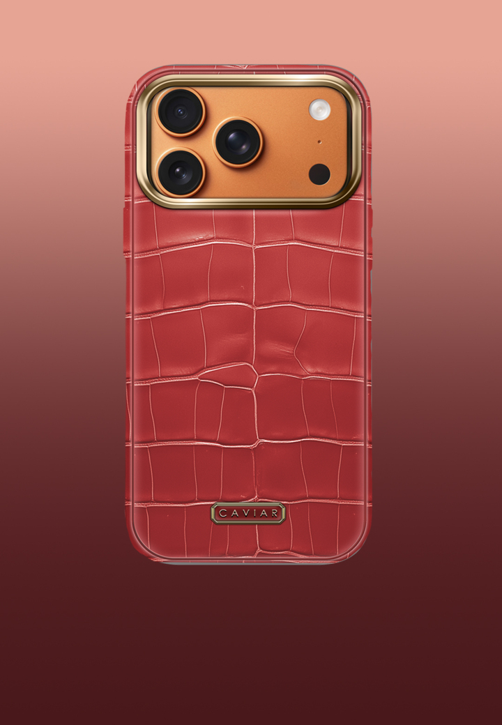 Чехол с оранжевым корпусом Phoenix