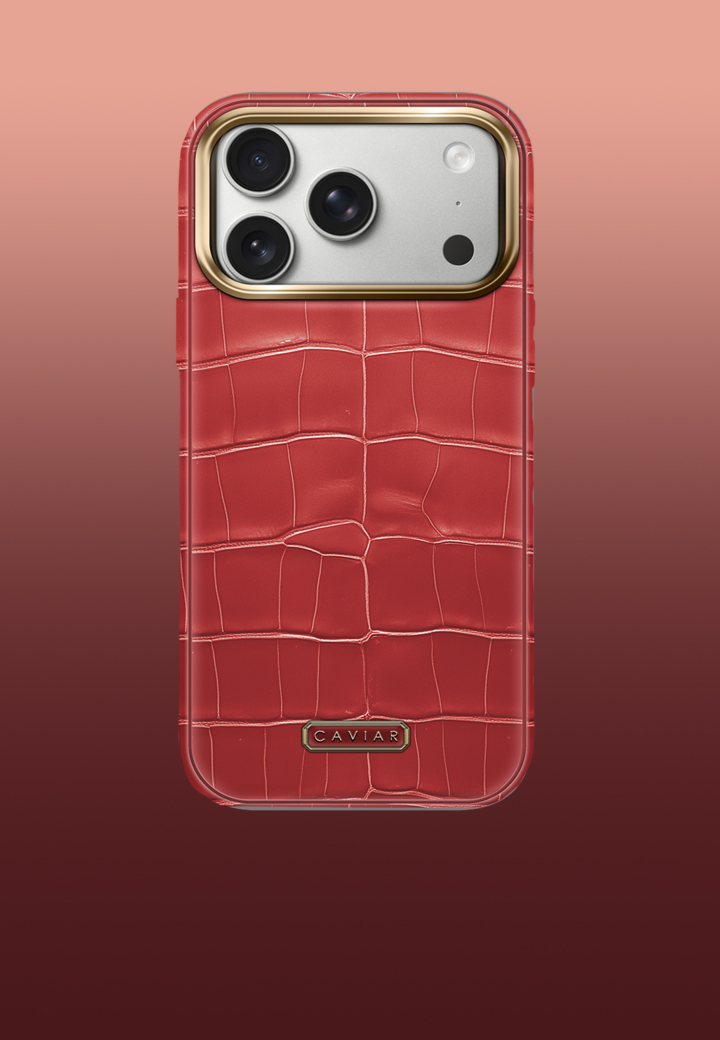 Чехол с белым корпусом Phoenix