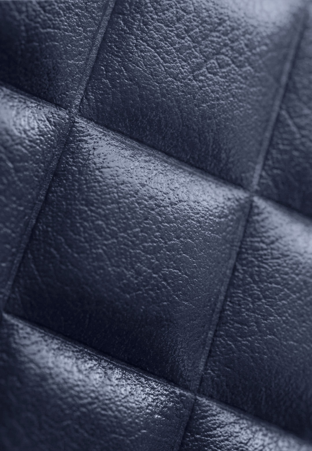 Тиснение Caviar Лазурный Берег