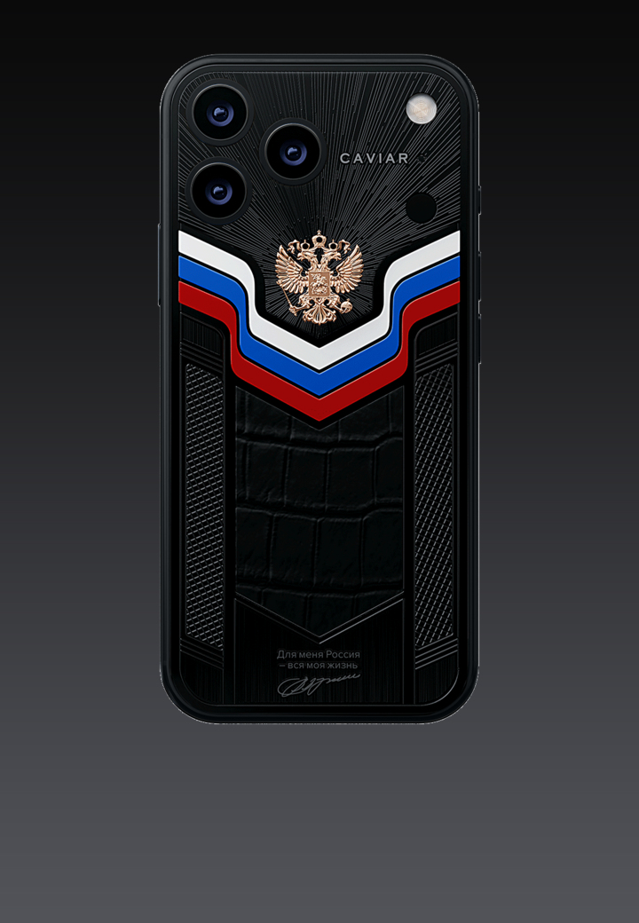 Идея модели Говорит Президент России