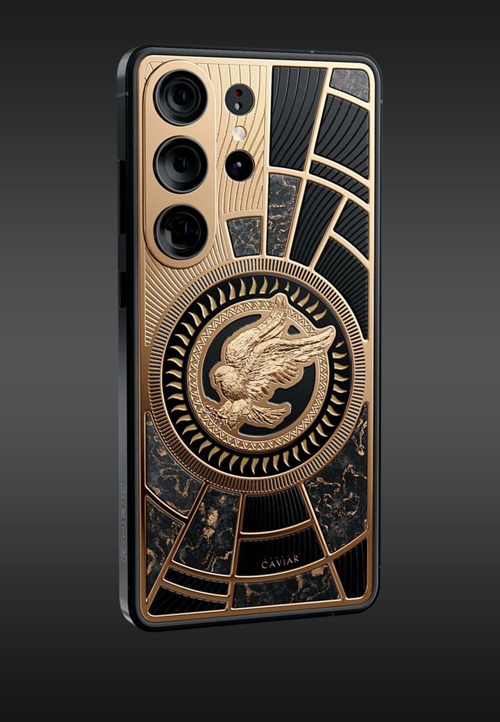 Общий план Сокол