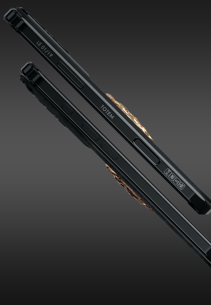 Лимитированность Сердце Льва